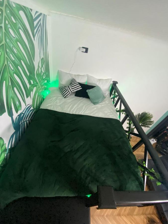 Green Vibes Central Braşov Eksteriør bilde